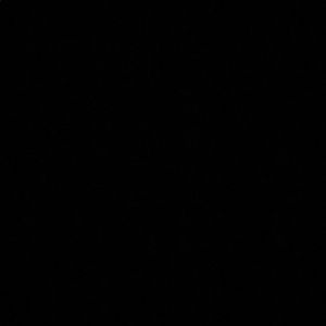 Meet your Posher, Niko